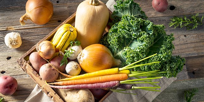 Cesar dog food sainsbury's clearance